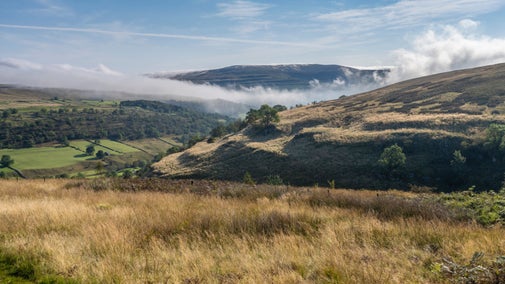 View of Langstrothdale valley at Upper Wharfedale, Yorkshire Dales, Yorkshire with tall grasses in foreground and clouds and blue sky beyond